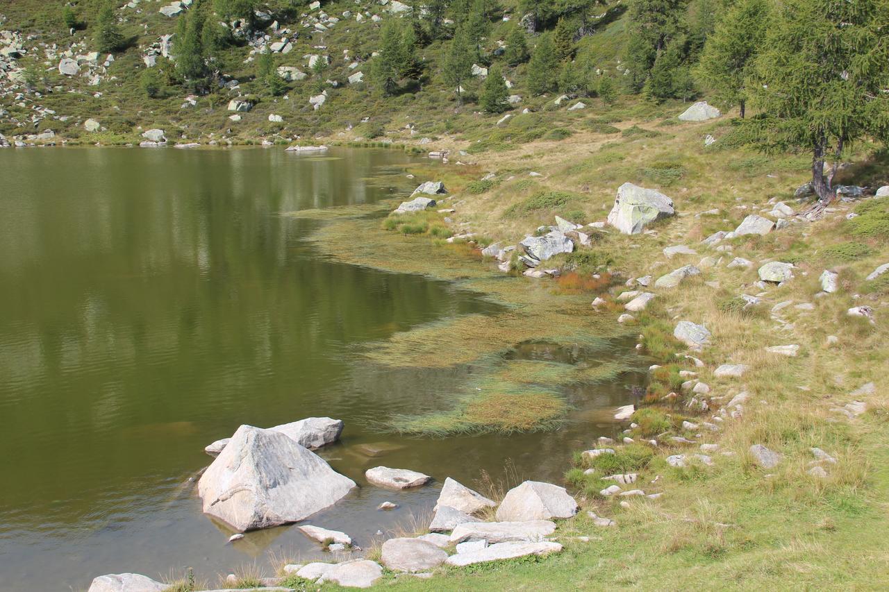 Rifugio Viviani Pradalago Madonna di Campiglio Bagian luar foto