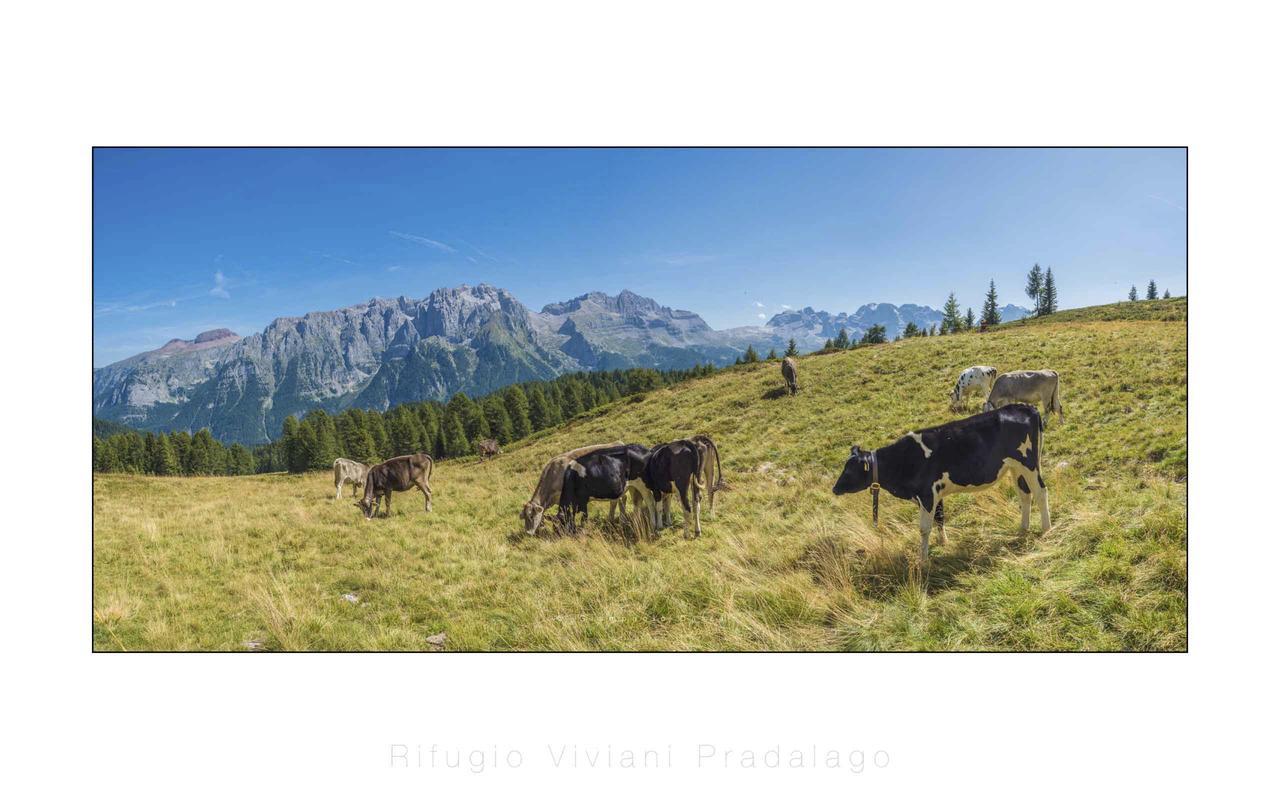 Rifugio Viviani Pradalago Madonna di Campiglio Bagian luar foto